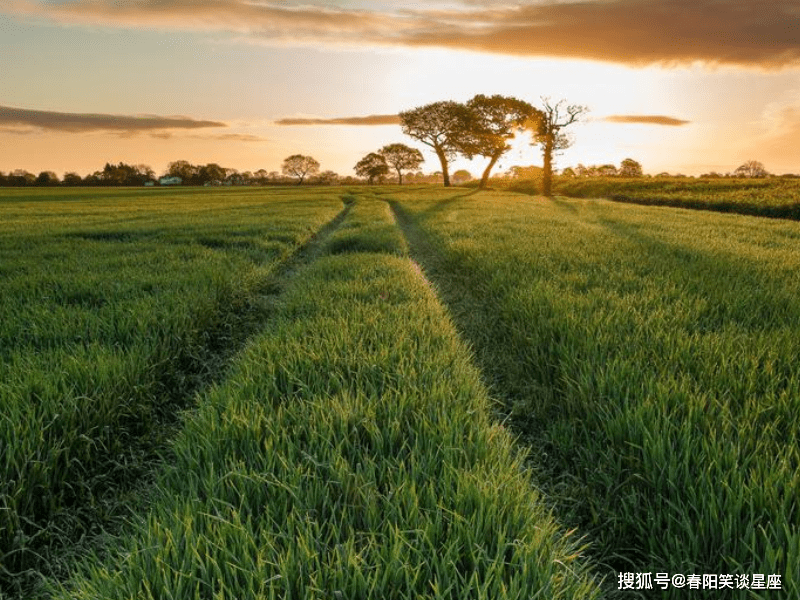 春节后12星座爱情运势抢先报